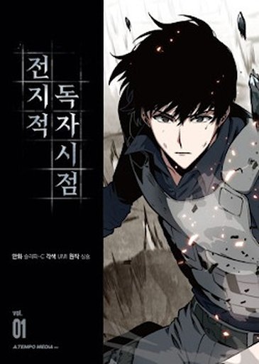 전지적 독자 시점